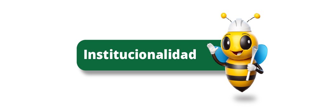 2Institucionalidad web