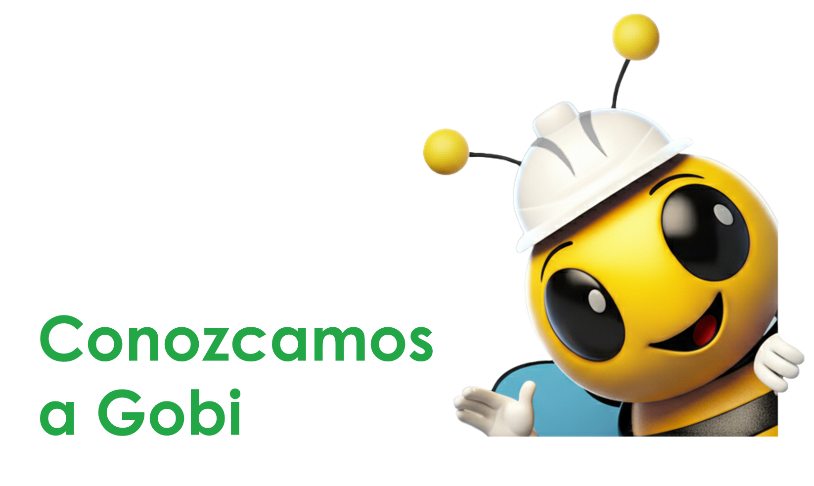 gobi -conozcamos